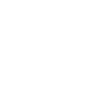 Patrizia Pepe logo