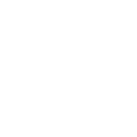 mc queen logo